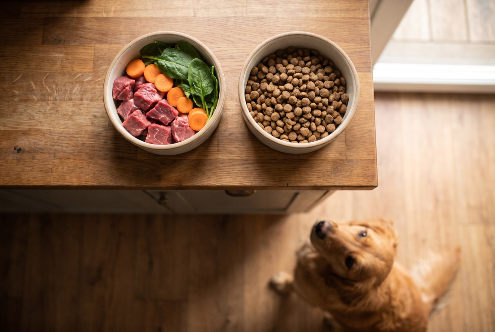 Zwei Näpfe nebeneinander auf einer Holzarbeitsplatte: einer mit rohem Fleisch und Gemüse, einer mit Trockenfutter, darunter wartet ein Hund