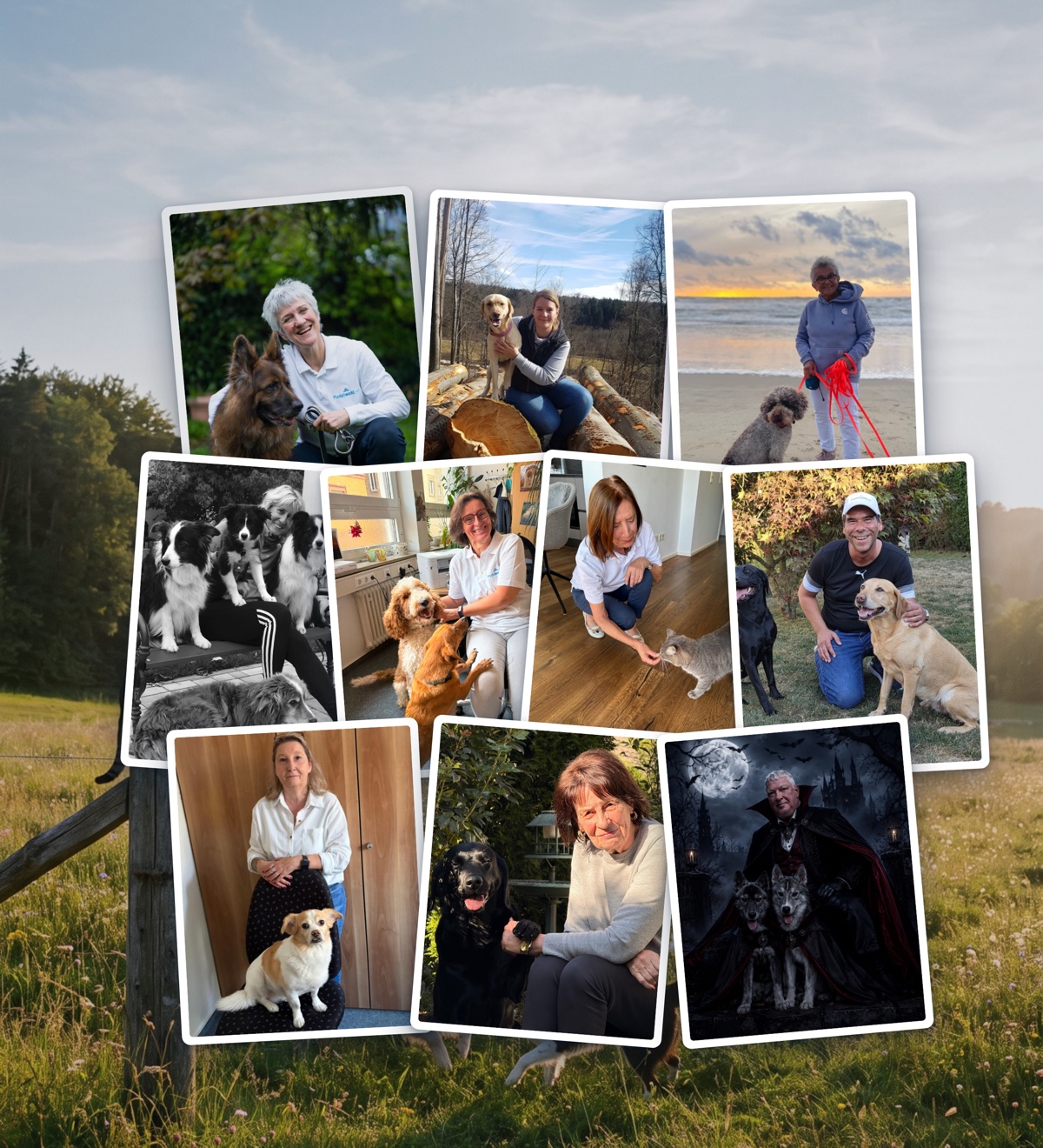 Bildmontage: Fotos der Mitarbeiterinnen und Mitarbeiter von Pudelwohl365 mit ihren Hunden und Katzen, im Hintergrund eine Wiese am Waldrand mit Pferden